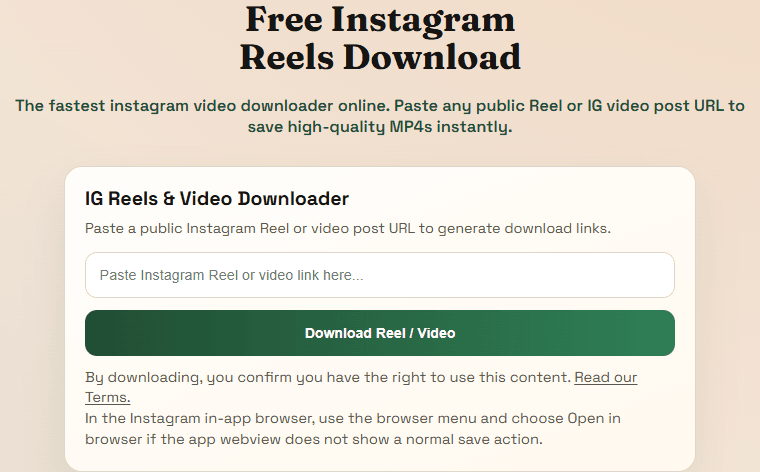 Instagram downloader page showing the live input card on the website.