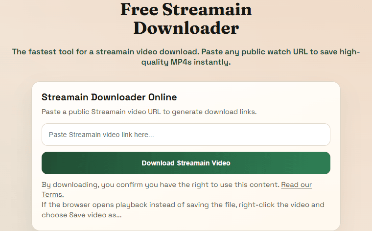 Streamain downloader page showing the live input card on the website.