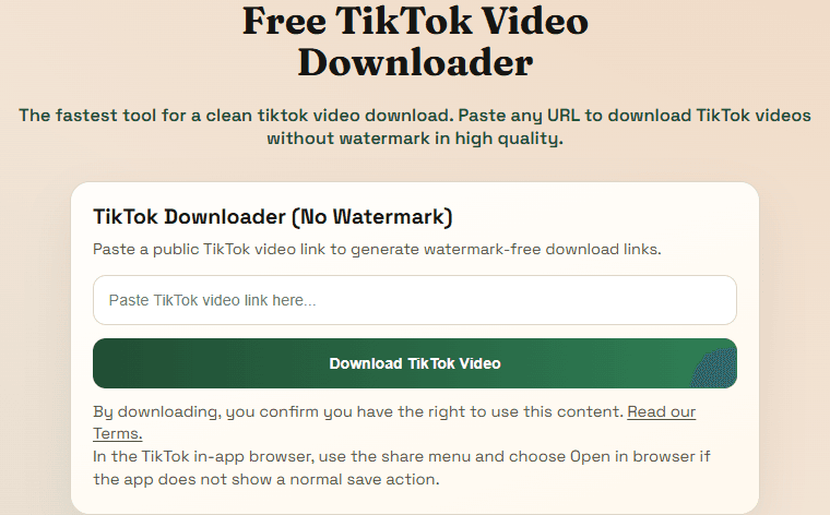 TikTok downloader page showing the live input card on the website.