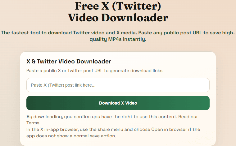 X (Twitter) downloader page showing the live input card on the website.