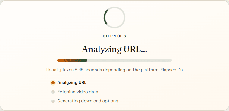 Analyze page showing the live loading workflow with step progress.