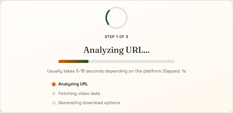 Analyze page showing the live loading state while the website prepares a video download.